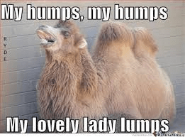 humps.png